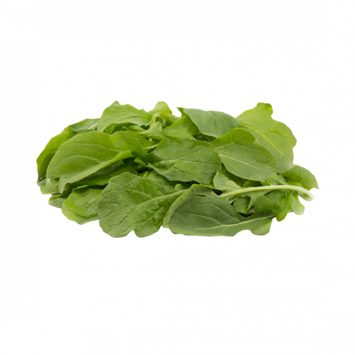 Fresh Greens | Fresh Microgreens | Vertical Farming Bali