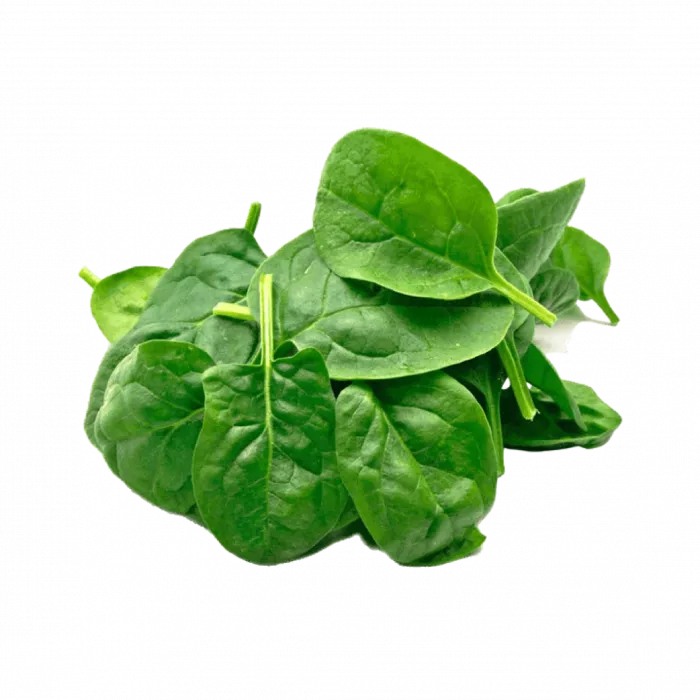 Fresh Greens | Fresh Microgreens | Vertical Farming Bali