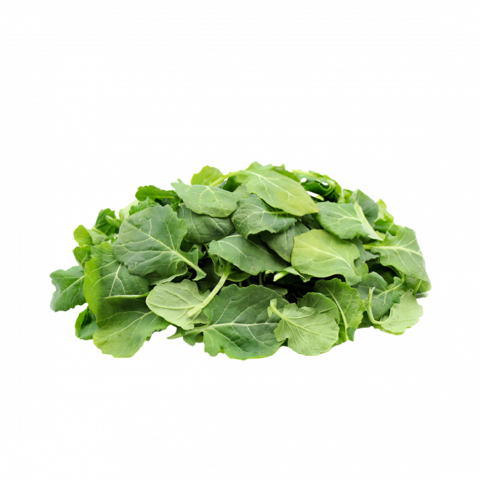 Fresh Greens | Fresh Microgreens | Vertical Farming Bali