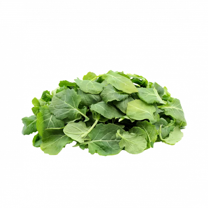 Fresh Greens | Fresh Microgreens | Vertical Farming Bali