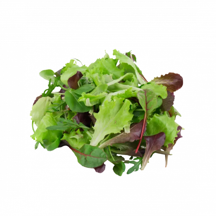 Fresh Greens | Fresh Microgreens | Vertical Farming Bali