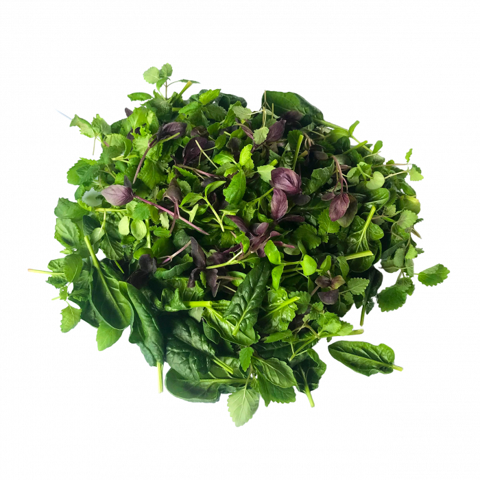 Fresh Greens | Fresh Microgreens | Vertical Farming Bali