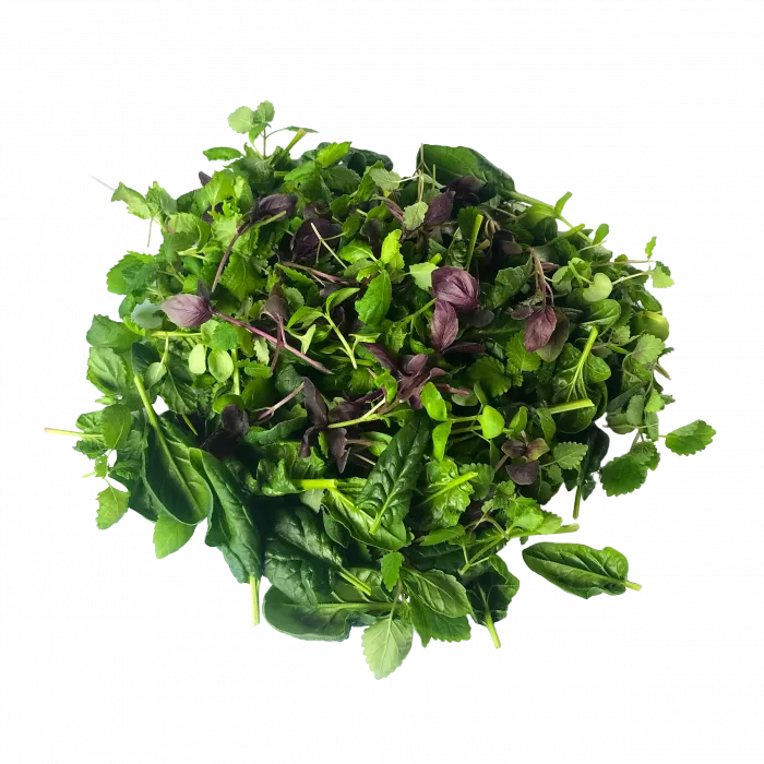 Fresh Greens | Fresh Microgreens | Vertical Farming Bali