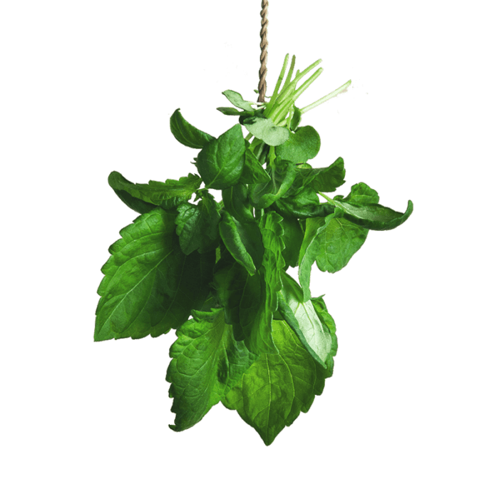 Green Shiso Bali | Fresh Greens And Microgreens
